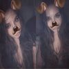 alexisdeal2319